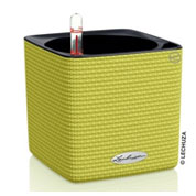 CUBE Color 14 cm - Lime - LECHUZA